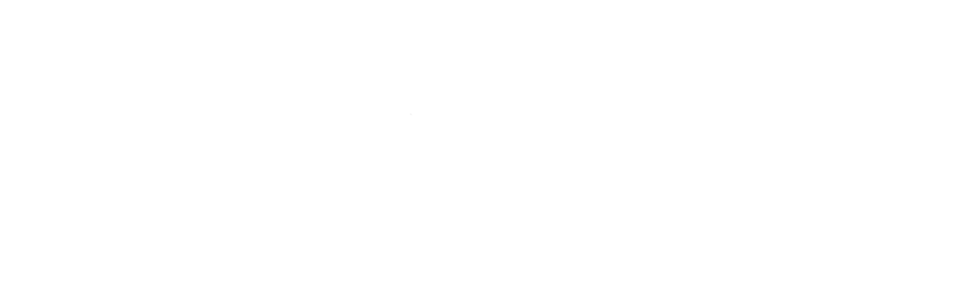 Die Zeit Logo