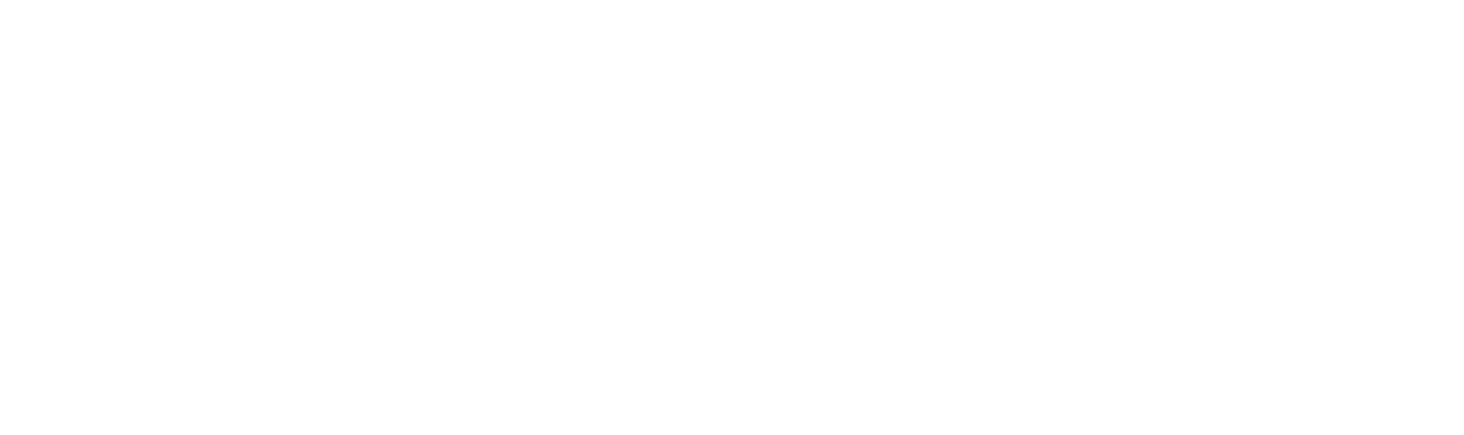 IPM Group logo